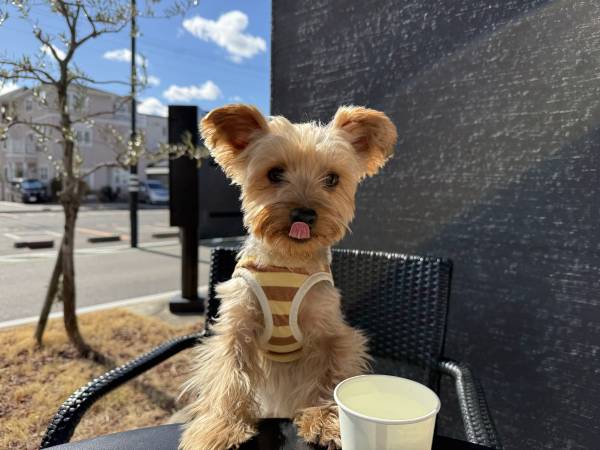 トピックス画像