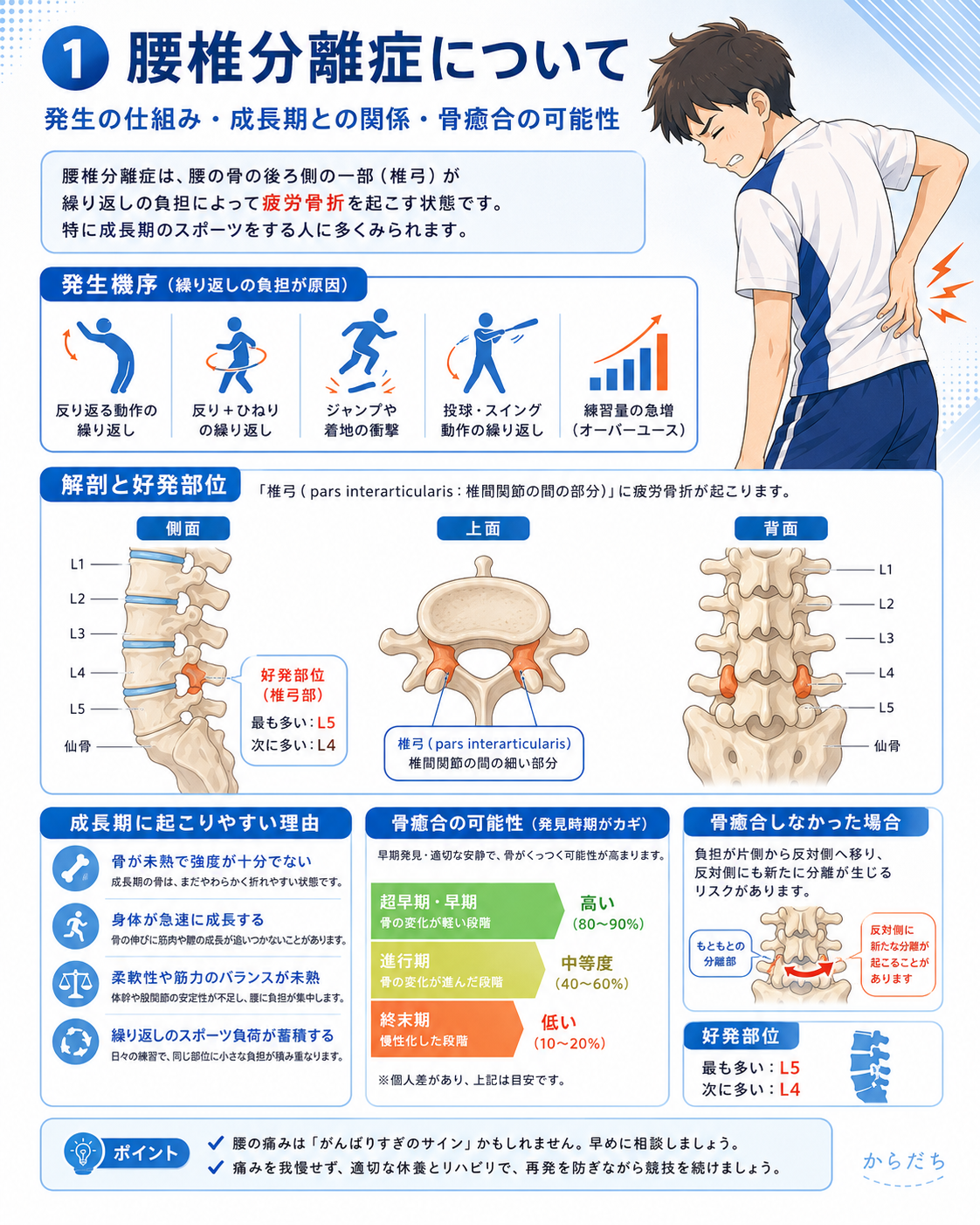 サポート画像